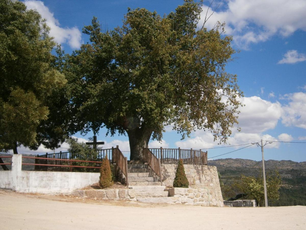 Pinheirinhos - Quinta De Sao Caetano Villa Carapito Exterior photo