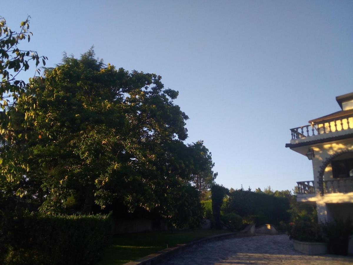 Pinheirinhos - Quinta De Sao Caetano Villa Carapito Exterior photo